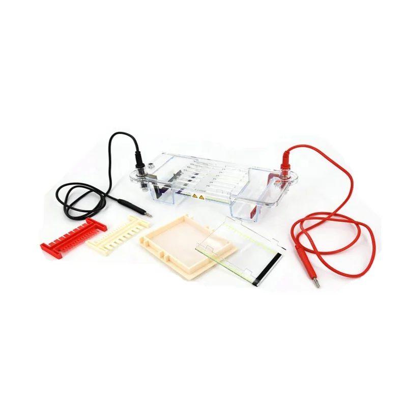 Mini Horizontal Electrophoresis Instrument Agarose Horizontal Electrophoresis Cell For Nucleic Acid Separation & Detection