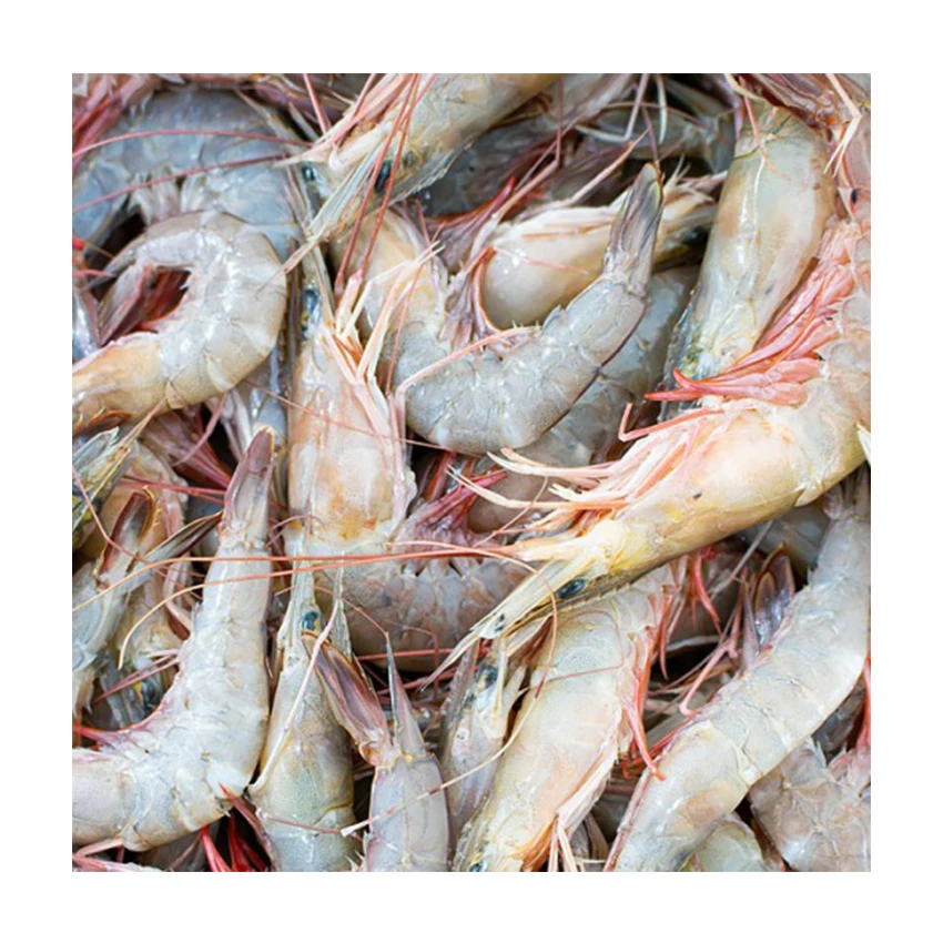 High Selling Fresh Frozen Whole Shrimp White  with good factory price from Ecuador