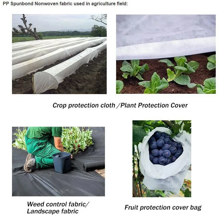 Polypropylene Nonwoven Plant Protection Blankets PP Non Woven Cover Agricultural Frost Blanket
