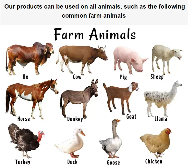 racing pigeon feeder bird pigeon growth promoter for poultry feed additives