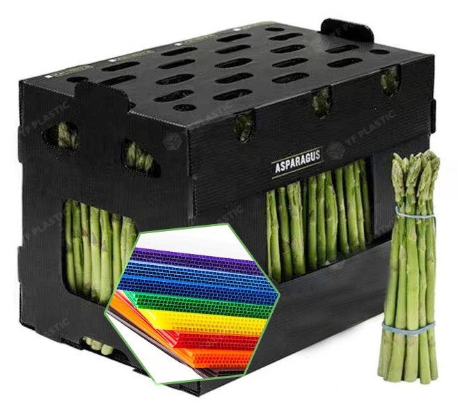 3mm 4mm 5mm Recycled Custom Logo PP corrugated Fruit Box Packing Vietnam Fresh Asparagus packing boxes