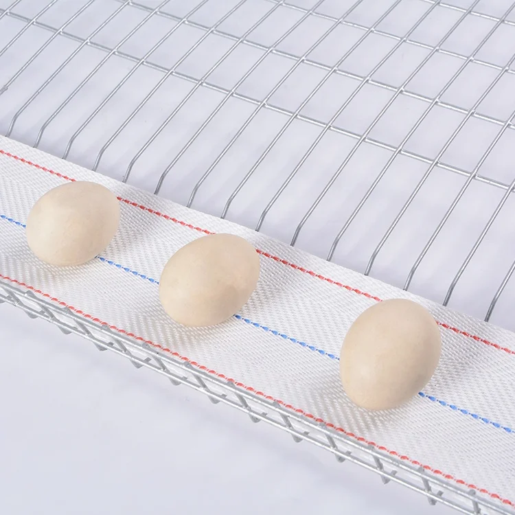 Chinese Manufacturer Customized Polypropylene Egg Collection Conveyor Belt for Chicken Layer Farm