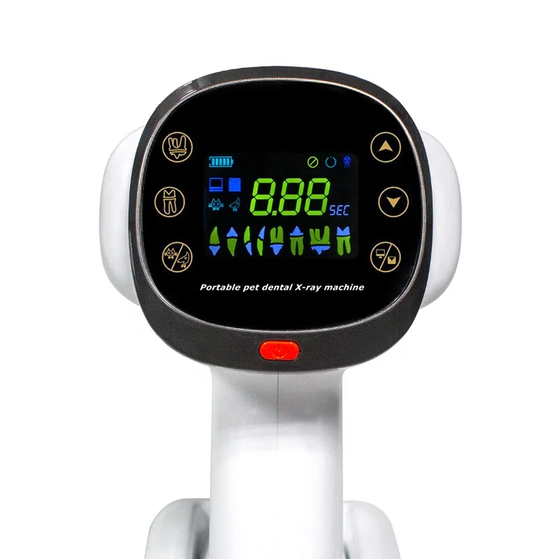 Cheap Price Canine Tooth Xray Portable Dog Dental X-Ray Unit Handheld Veterinary Digital Dog Teeth X Ray Machine With Sensor