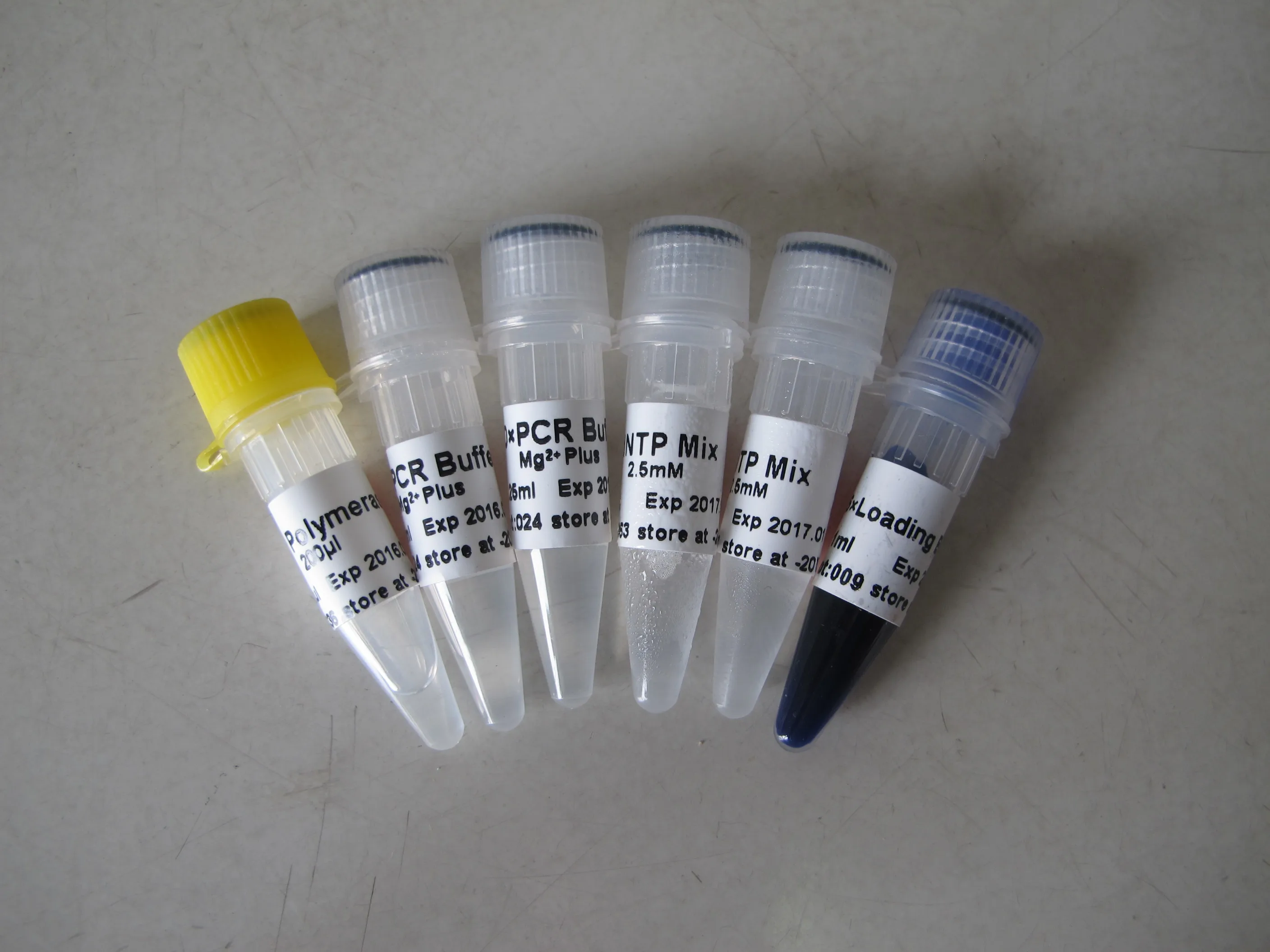 GDSBIO Taq DNA Polymerase PCR reagent 5U/Microliter 100000U P1017