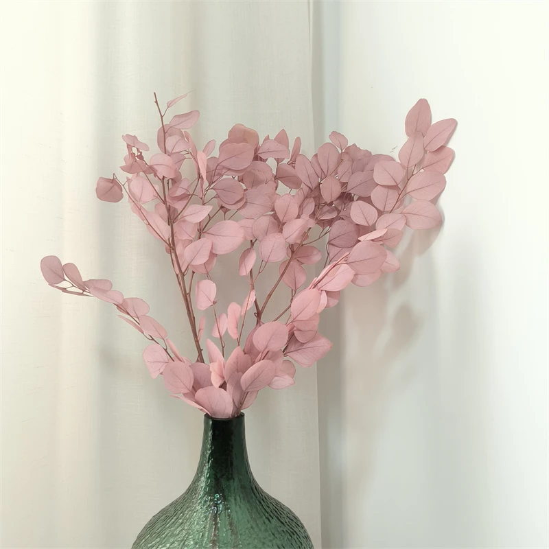 Hot Sale Apple Shape Bleach Preserved Eucalyptus Leaves Absorbing Colors For flower arrangement Home/Hotel Decoration