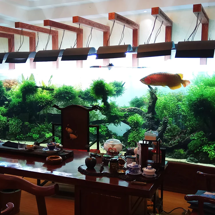 PMMA Vertical Acrylic Aquarium Tanks For Sale, Various Shape Special Acrylic Jellyfish Aquarium@