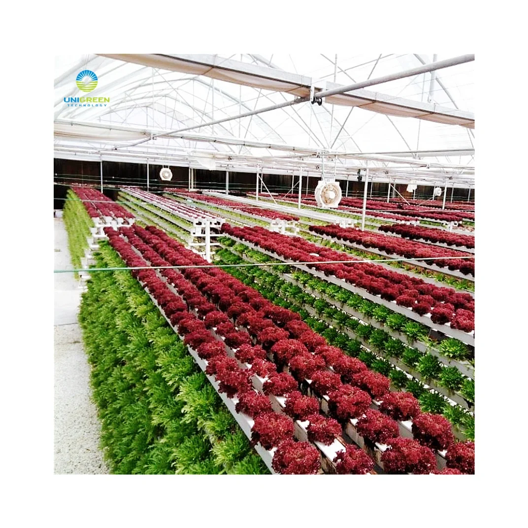 NFT System Rack Hydroponic Greenhouse Lettuces A-type NFT Channel Vertical Farm Equipment NFT System Rack Hydroponic Grow System