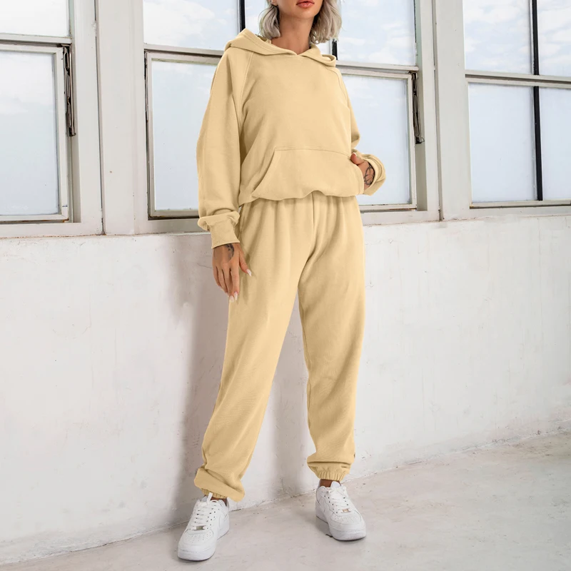 HacoApple 2022 Autumn Winter Loose Sweatsuits Fleece Thick Sweat Sets 2 Piece Jogger Sweatpants And Hoodie Set For