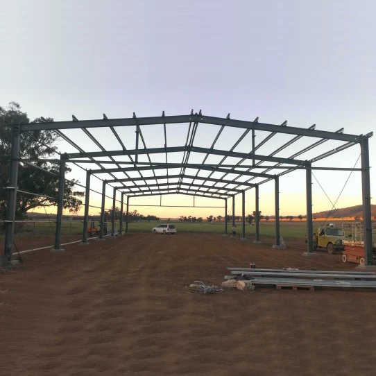 Professional Design China Factory Made Light Prefab Building Steel Structure Workshop