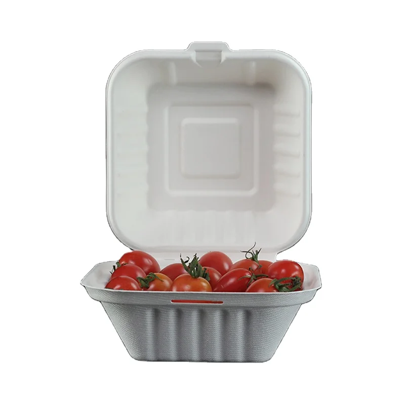 Eco Friendly 100% Biodegradable Compostable Disposable Take Away Series Sugarcane Bagasse Food Container for Bento, Salad