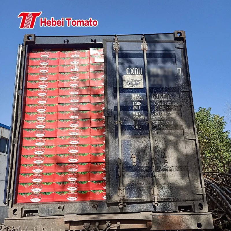 210 г 400 800 2 кг консервированная легкооткрытая томатная паста от китайского томатного завода