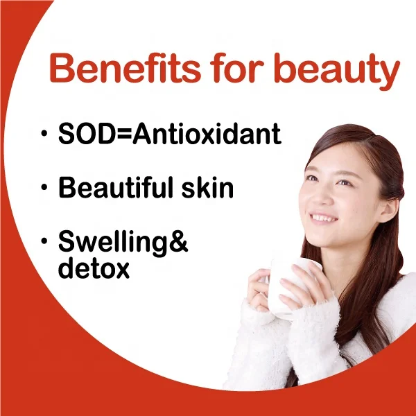 Free sample herbal tea detox health beauty skin with herbal rooibos 100% sugar free drink made in japan company OEM available