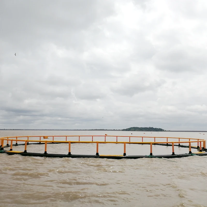 Инструменты для аквакультуры HDPE труба морской воды клетка разведения рыбы сеть-фонарь