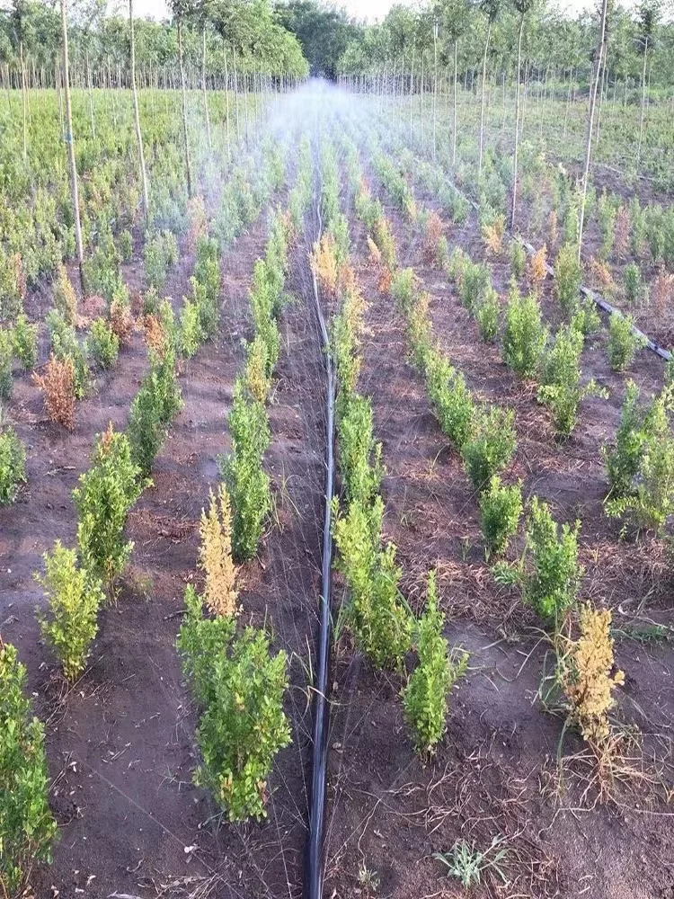 Drip irrigation system drip hose drip line for agricultural farms irrigation pipes