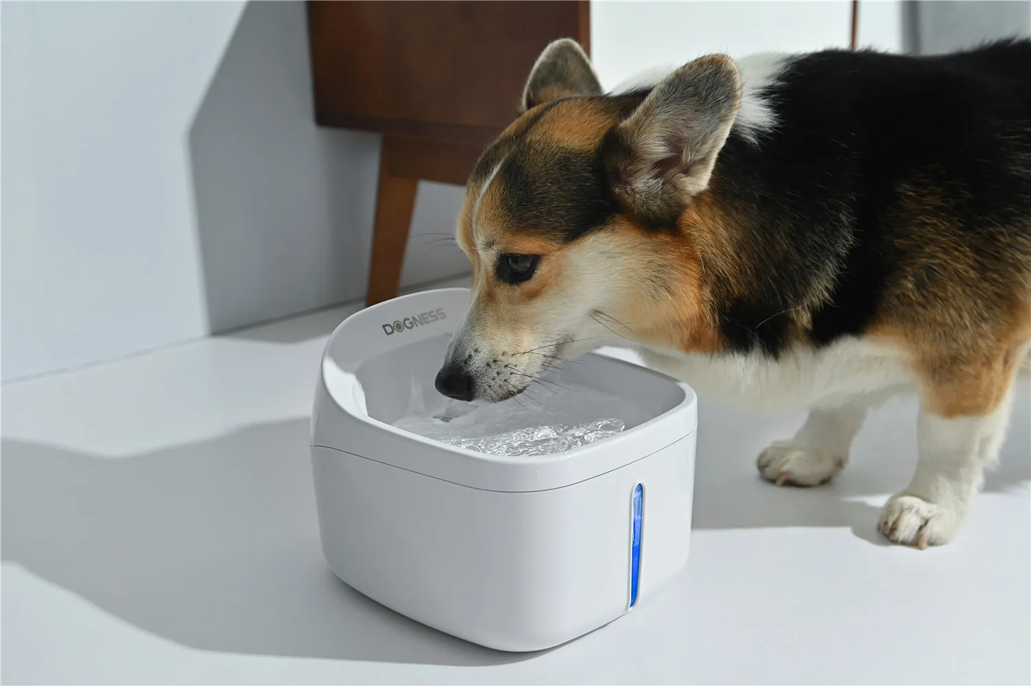  Dogness умный автоматический питомец фонтан воды для домашних животных питьевой внутренний
