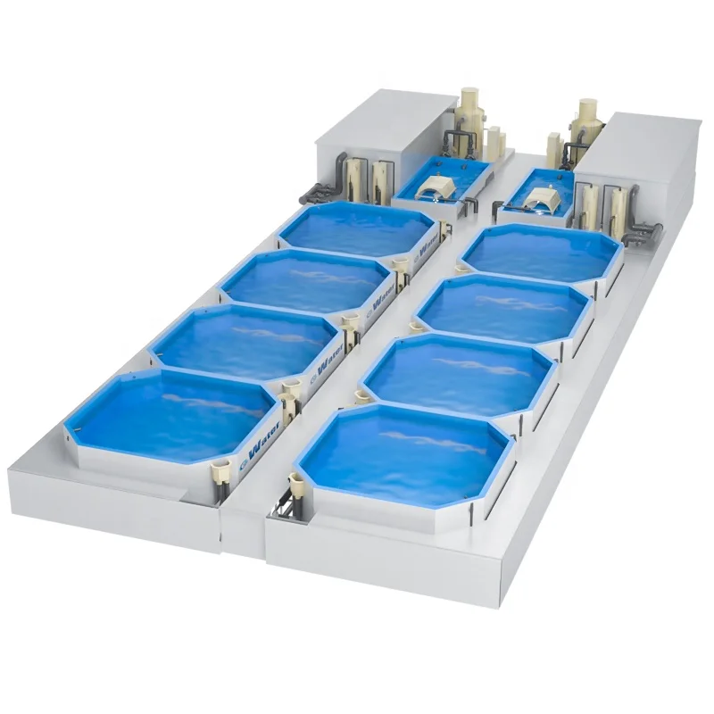 Indoor 300m3 Sea-bass Pisculture fish farming for koi fish and Recirculating Aquaculture System Price