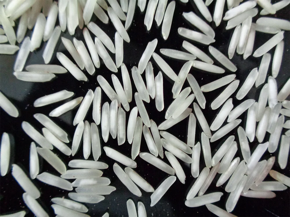 Premium 1121 Raw Basmati Rice for Exports from India Long-grain Rice White 0 Admixture 24 Months Dry Place from IN;13586 8.35mm