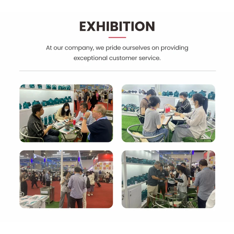 LLASPA Asia Large Flow High Lift 220V Submersible Electric Portable Water Pump For Irrigation