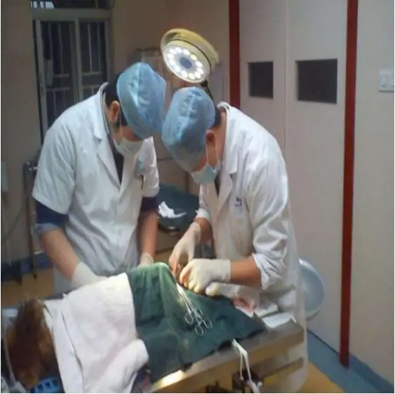 Переносная хирургическая Светодиодная лампа для осмотра с 12 отверстиями, с сертификатом се