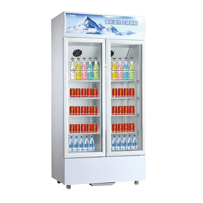 Snowsea LC-533 с прозрачной дверью Вертикальная Витрина холодильники коммерческих охлаждаемый прилавок-витрина