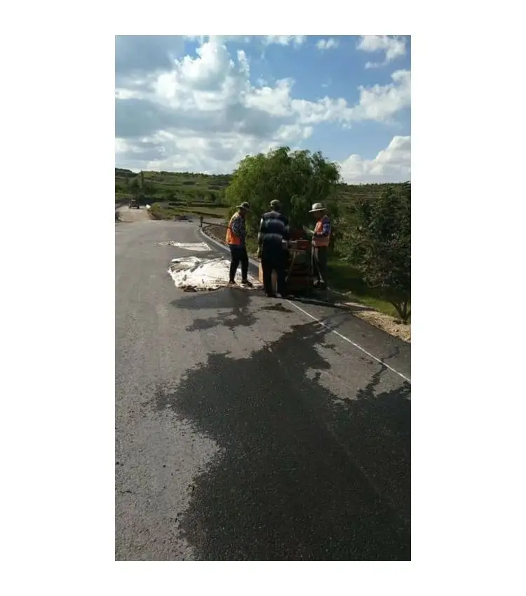 New Designed Good Performance Advanced Sidewalk Asphalt Landscape Curbing Forming Machine