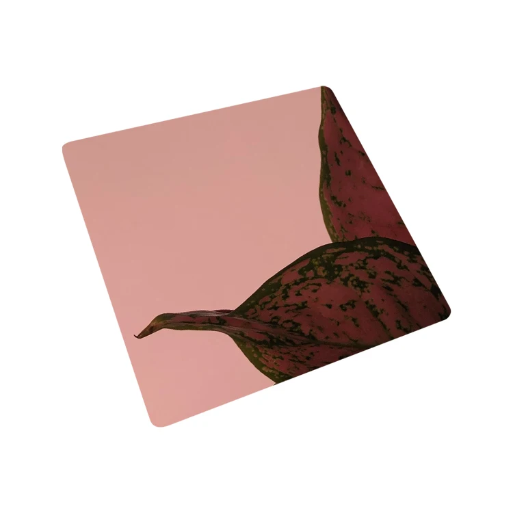 AISI ASTM 201 304 316 430 Grade rose gold titanium color coat stainless steel sheet and plates art deco wall panels sheet