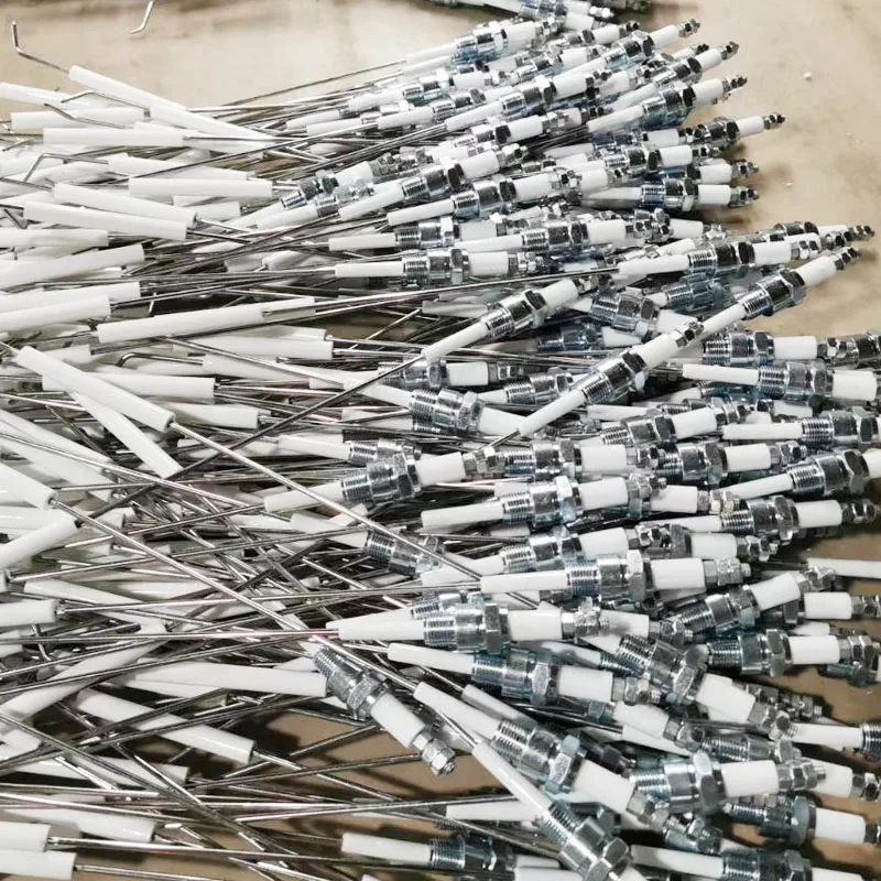 Amazon hot sale wall-mounted gas boiler spark ignition flame sensor electrodes