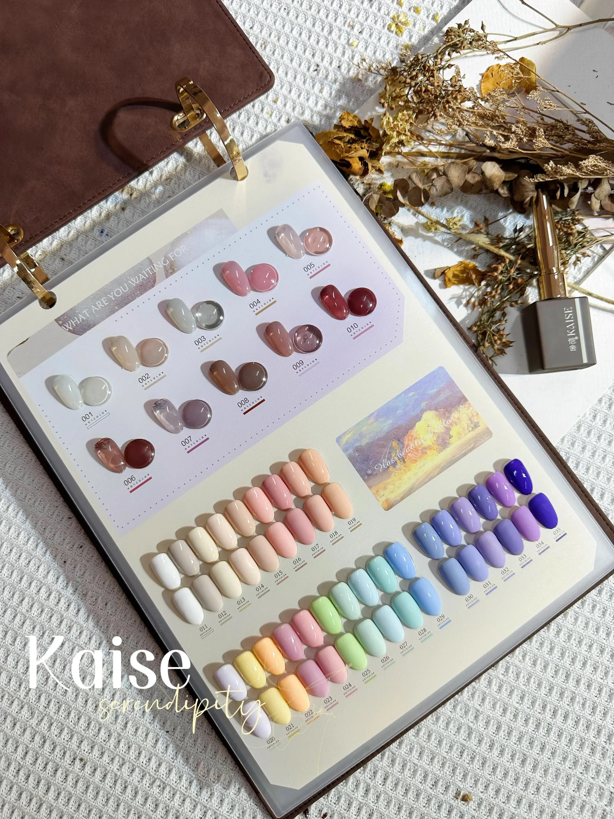 KAISE High quality 176 colors Nail gel set Hot sale Non-Eoxic Uv gel New model 2024 Fashion Nail art kit Nail salon Wholesale