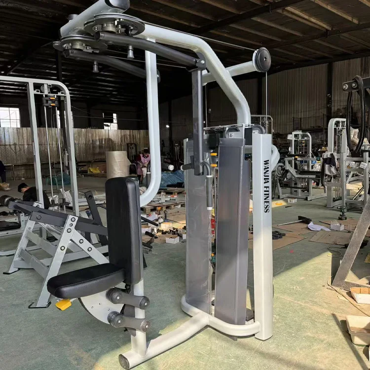 Source Factory Pin Loaded Selection Workout Dezhou Fitness Gym Equipment Rear Delt/Pec Fly For Exercise