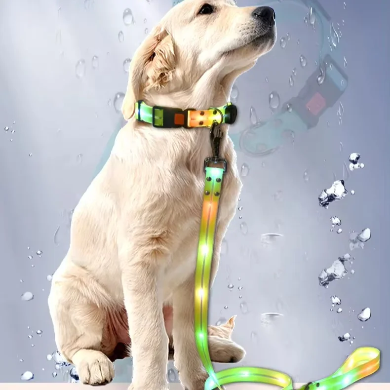 Professional Wireless App Customized Luminous Lovely Dog Collar With Display Leash