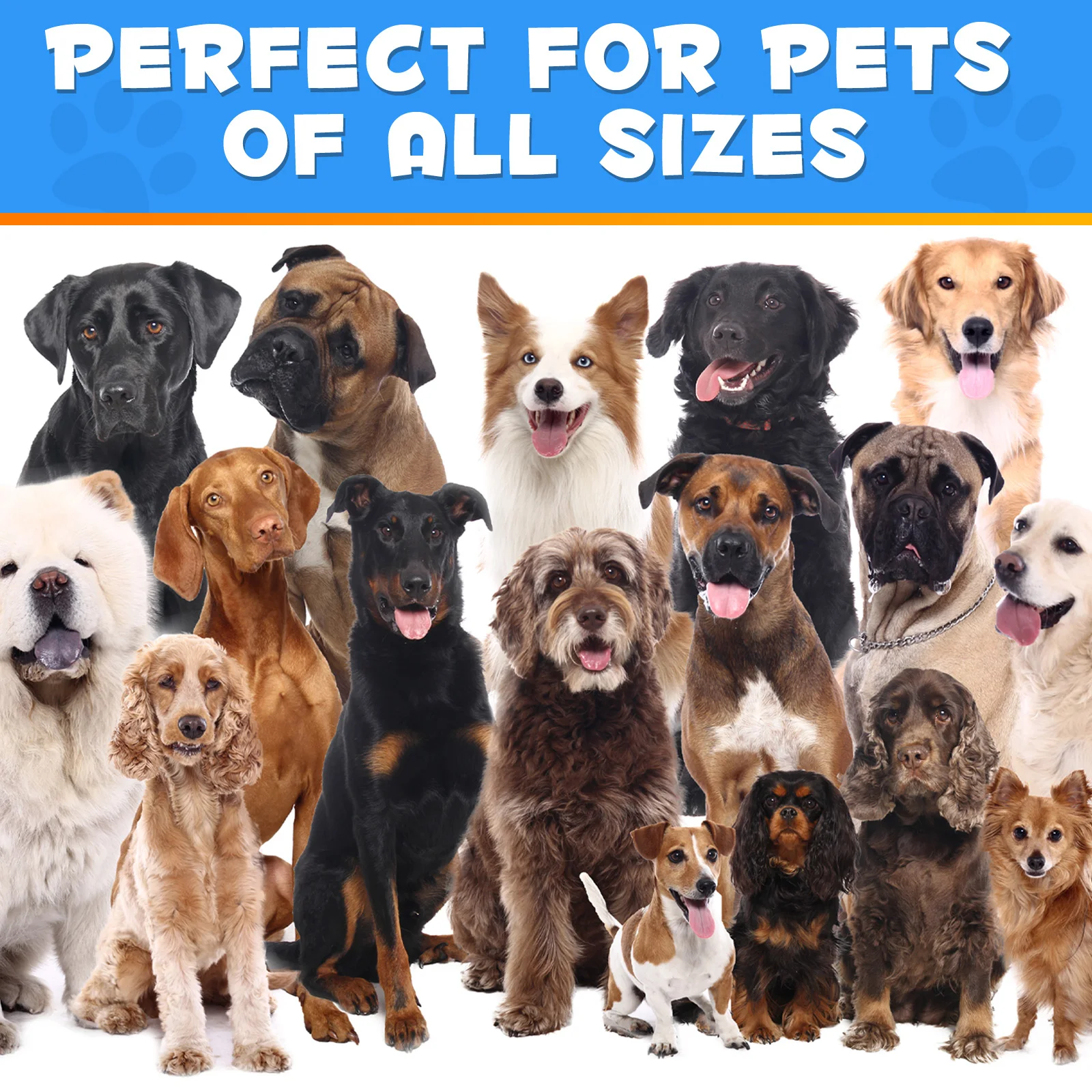 Oimmal Wholesale Pet Fiber Supplements Anal Gland Powder for Dog Digestive Health with Pumpkin Digestive Enzymes Probiotics