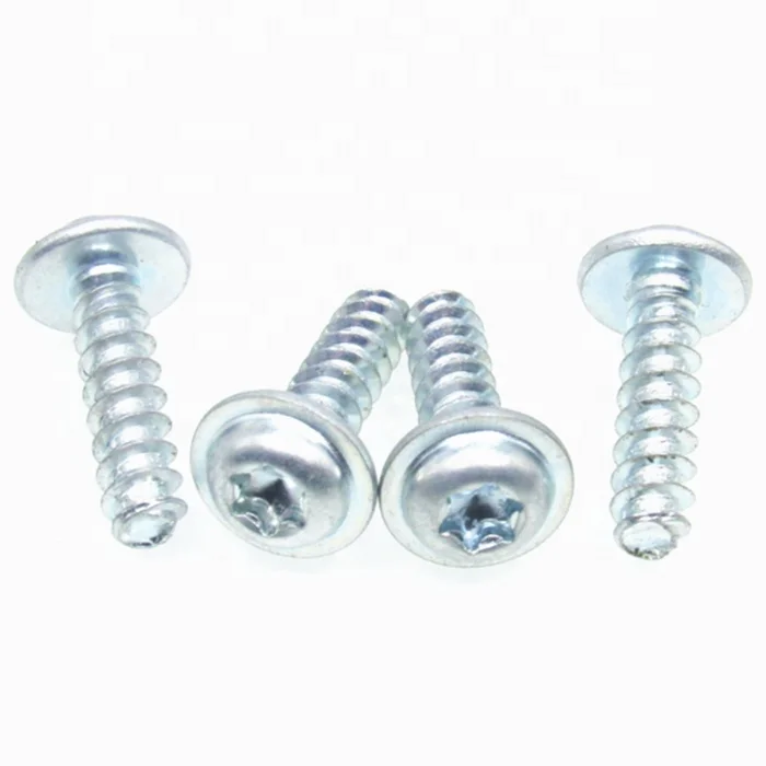 SS Round Washer Head with TORX PLUS Self-tapping Screw