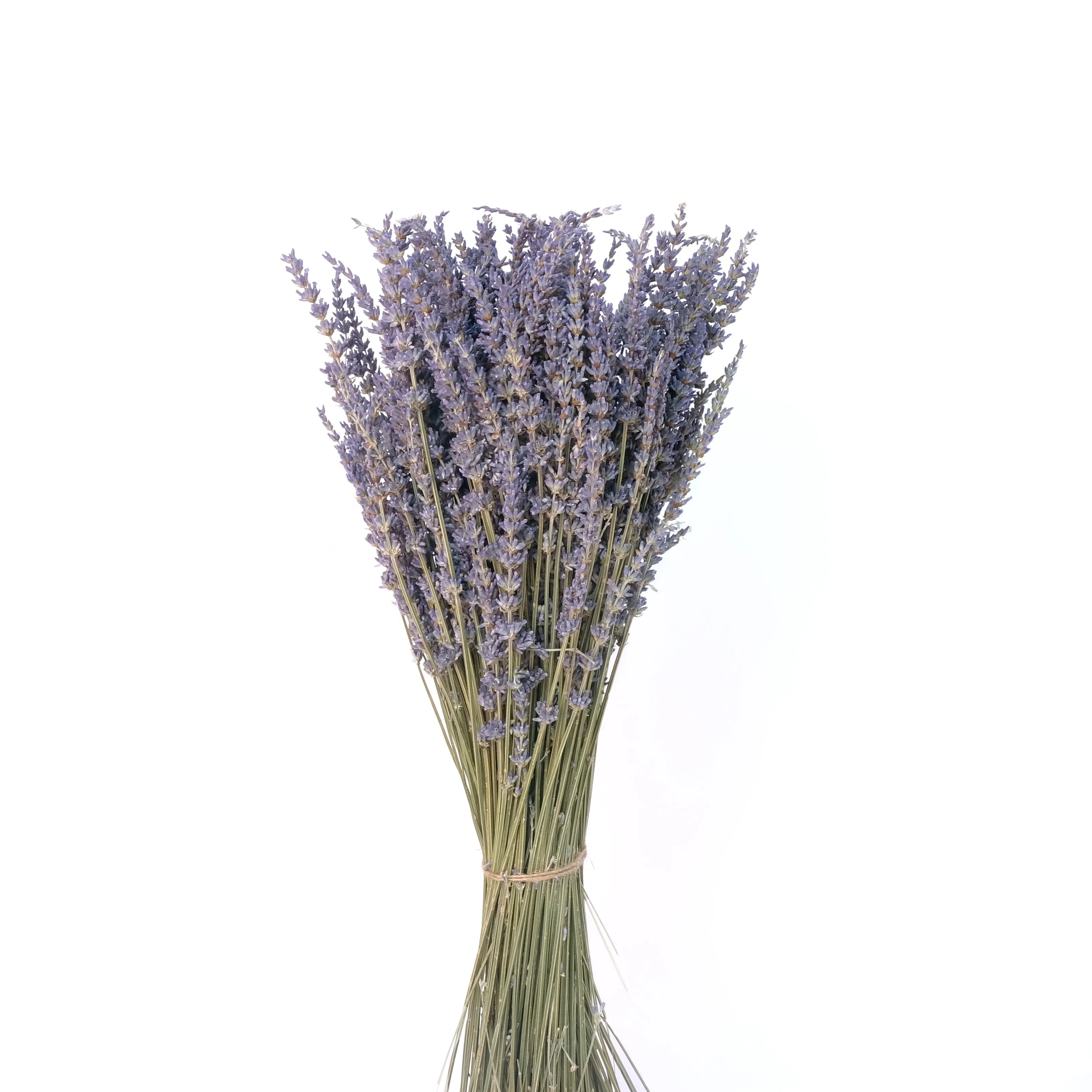 Букет Лаванды для сушеных цветов