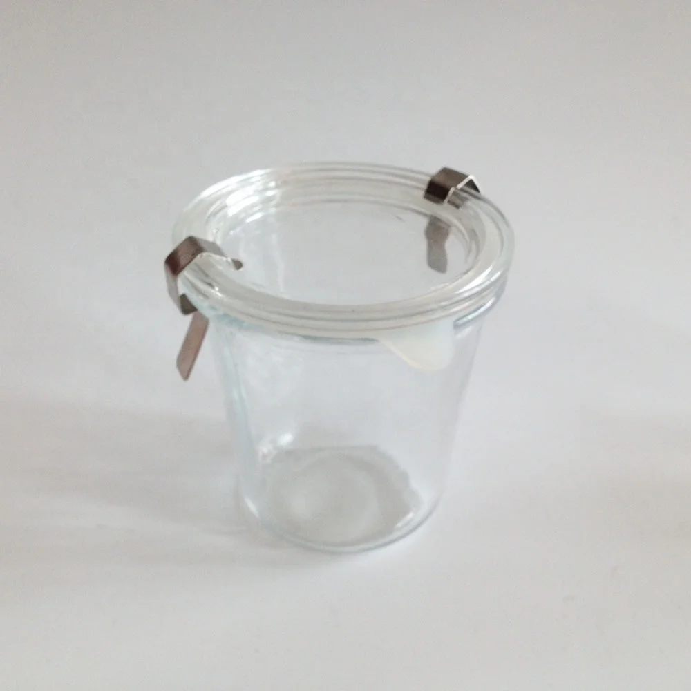 125ml 250ml 540ml lock lid glass jars with sealed silicone rubber gasket ring