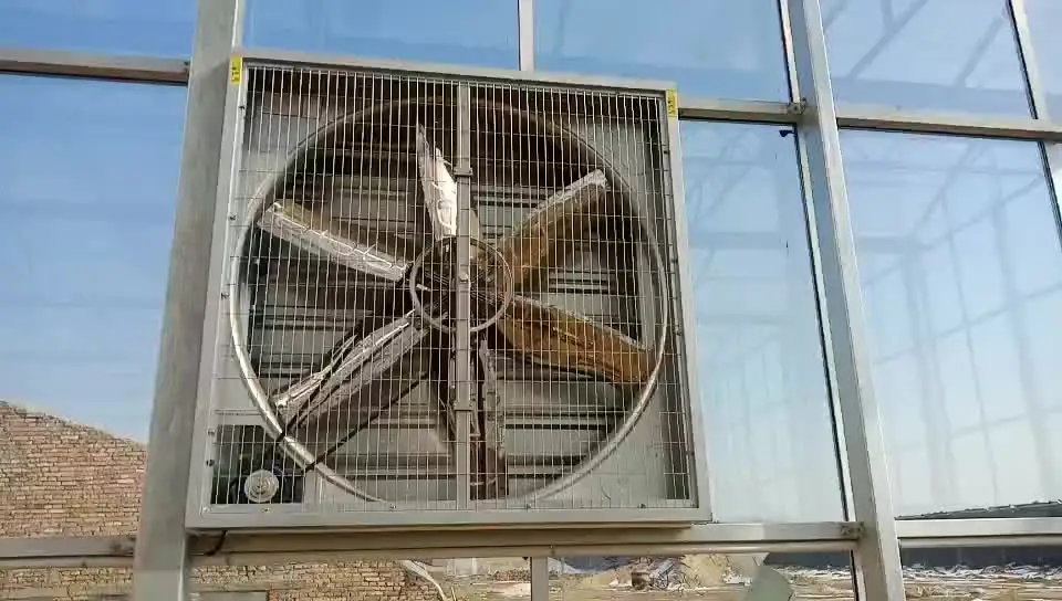 Industrial Factory Greenhouse Ventilation Exhaust Fan