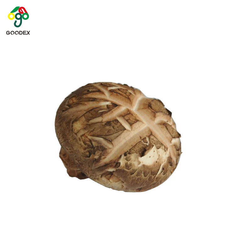 Высушенный цветочный гриб shiitake хорошего качества