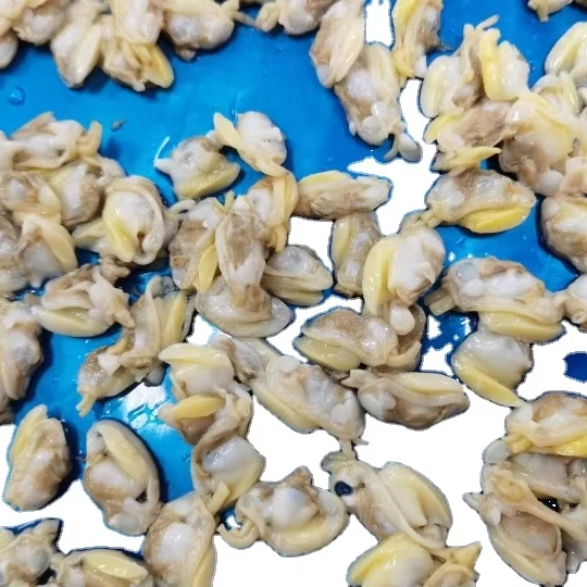 Frozen Clam Meat