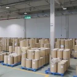 Wholesale Food Grade Gelatine Powder Raw Material Factory Halal ISO HACCP Certified for Food Additives