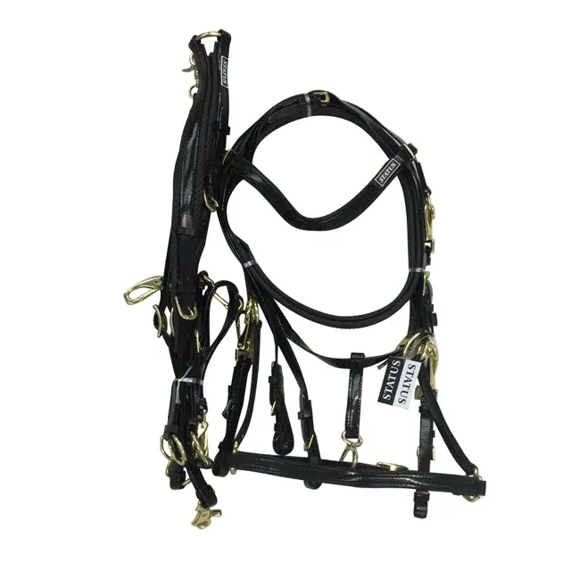 
Horse Bridles In PVC Material In Many Colors 