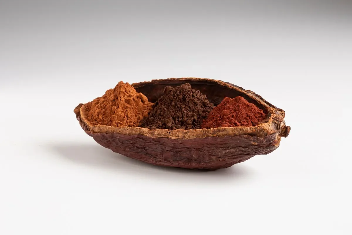 Ghana bean made natural and alkalized unsweetened cocoa powder with fast delivery