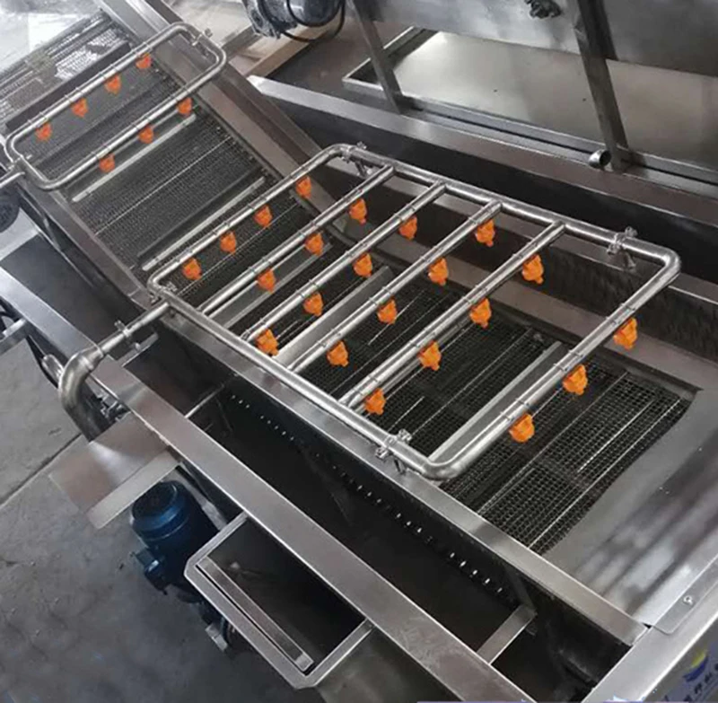 Automatic Fruit vegetable washer peanut bubble cleaning machine