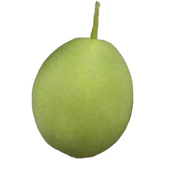 
Green pear fruit shandong pear wholesale early su pear exporter 