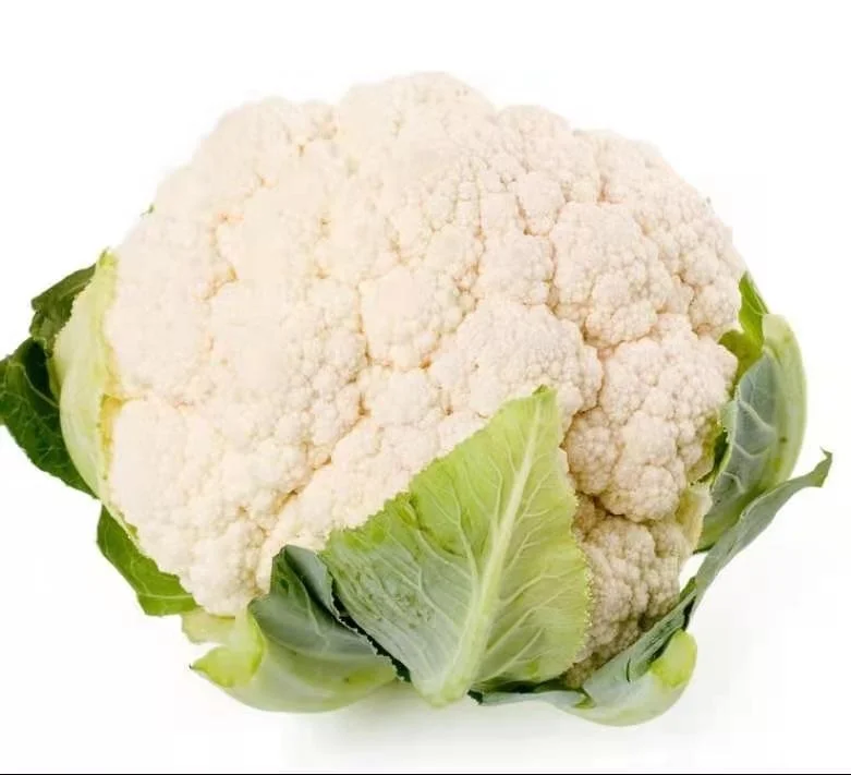 2022 new crop fresh cauliflower manufacturer low price white cauliflower
