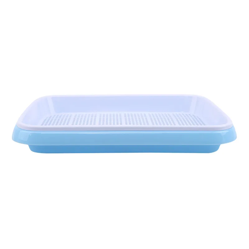 Water cultivation seedling plastic growth nursy Microgreen Planter soilless sprout dish tray with lid