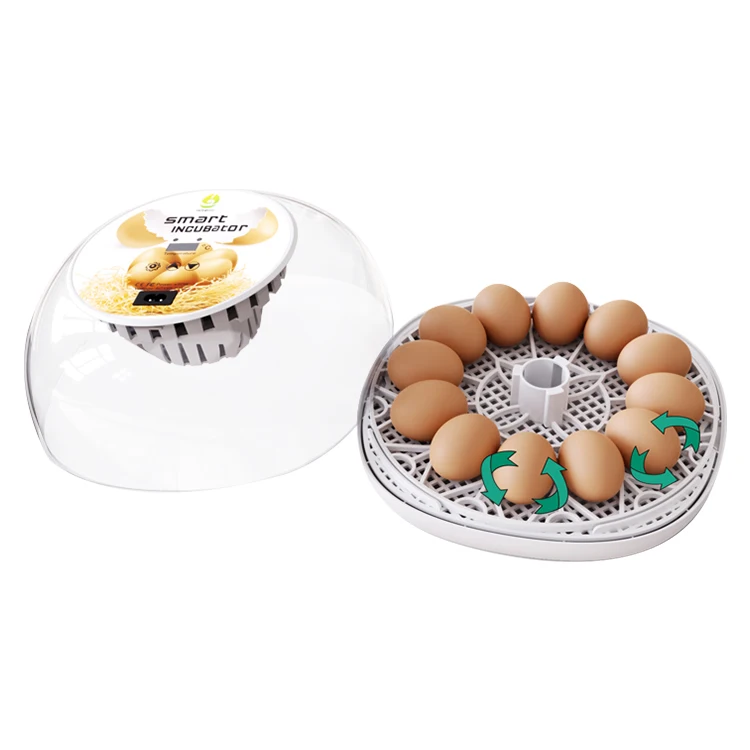 HHD WONEGG небольшой яичный инкубатор для домашней птицы 12 яиц оборудование производства домашних товаров