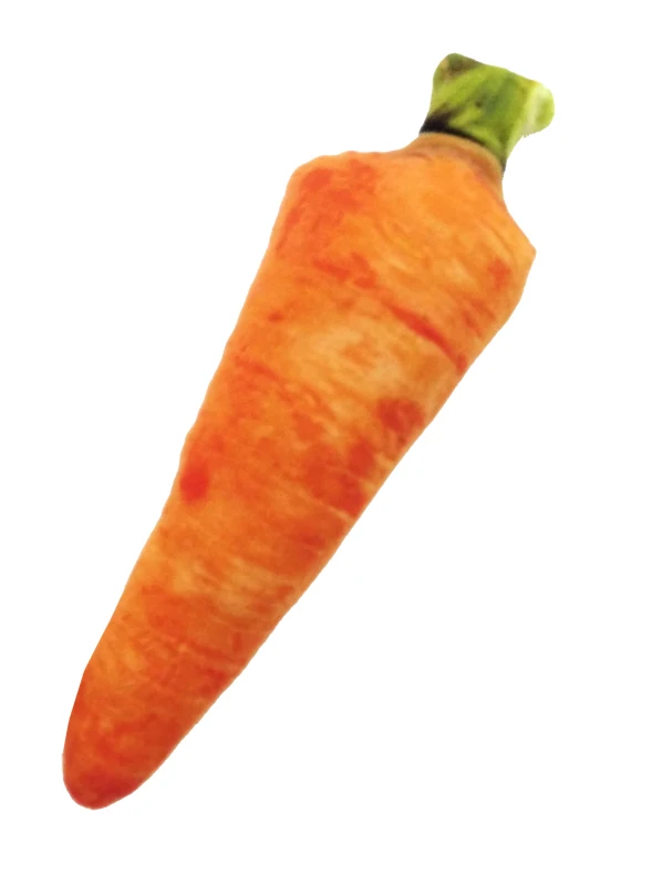 
Anti Bite Creative Simulation Vegetable Pet Fruit Toys Pet Toys Manufacturer 2021 Pet Toy 