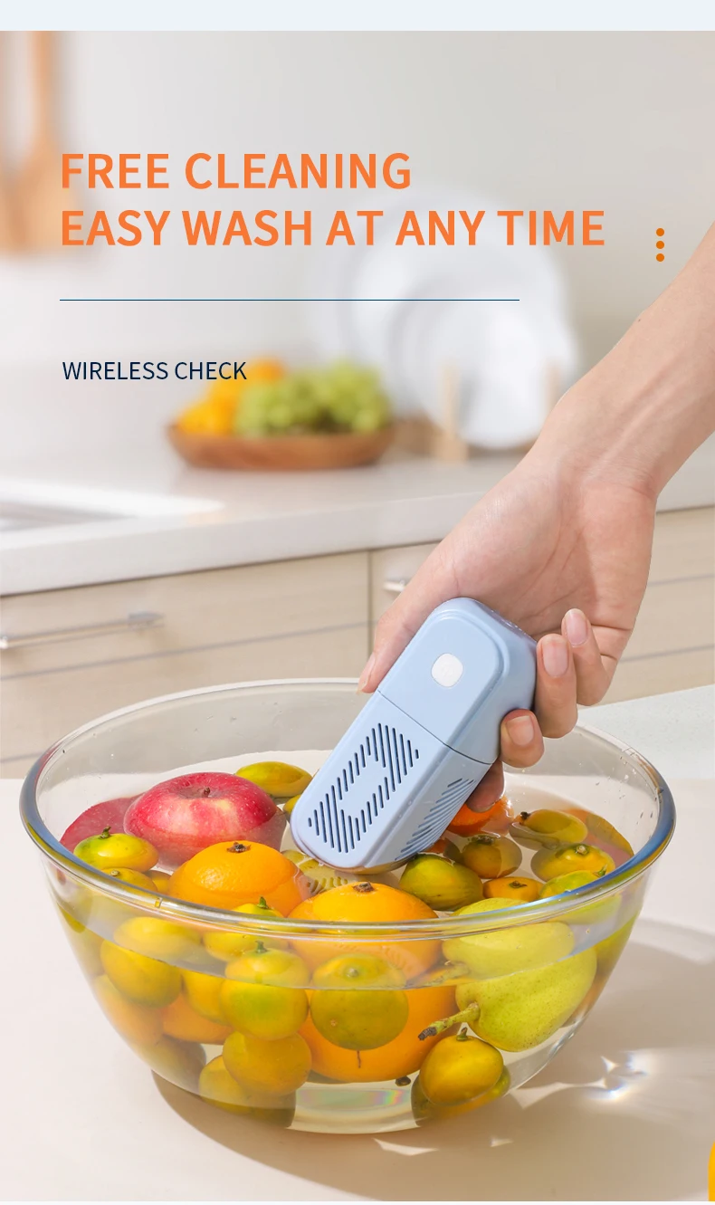 Vegetable Purifier (13).jpg