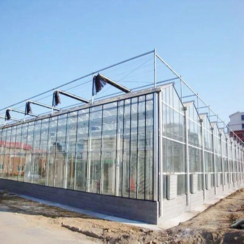 Low cost customized robust and durable greenhouse stable structure easily assembled agricultural tunnel greenhouse