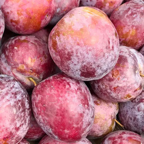 Настоятельно рекомендуемый 100% Натуральный Свежий Камень, фрукты класса А, австралийская свежая слива