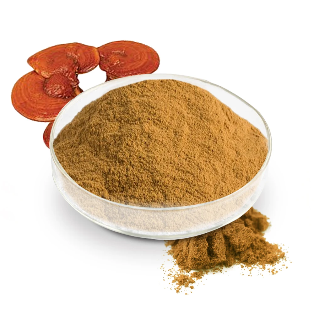 juncao planted ganoderma lucidum reishi  extract powder with polysaccharides 30% triterpenes 2% OEM